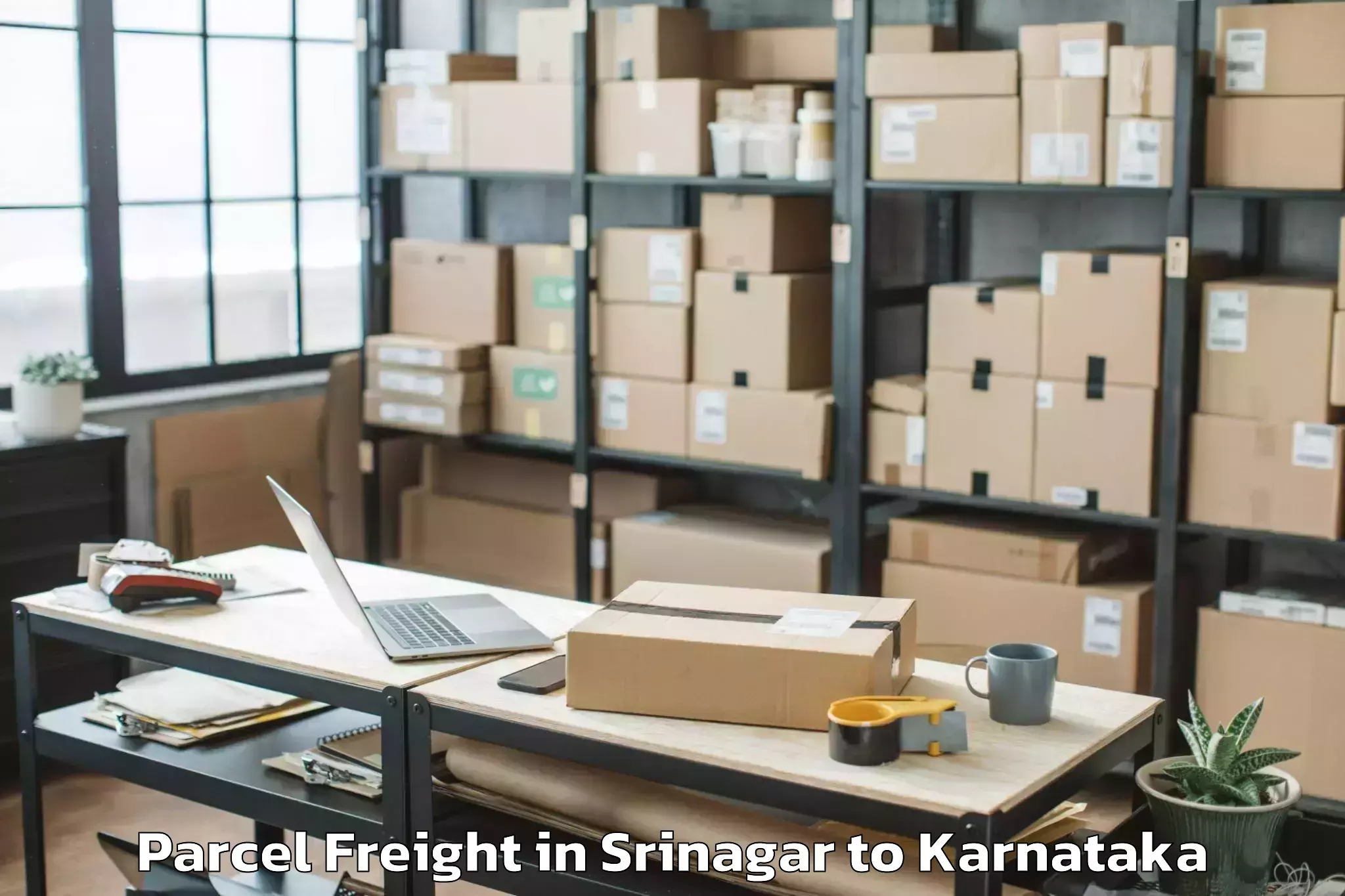 Get Srinagar to Lingasugur Parcel Freight